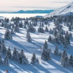 Копаоник: Скијање, сноубординг и спа во најдобриот ски центар во регионот! Сместување за сите вкусови. Резервирајте уште сега!
